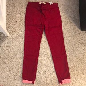 Hollister pants
